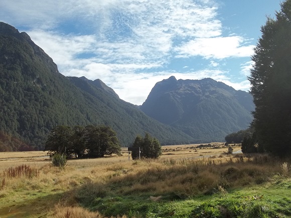 Knobs Flat