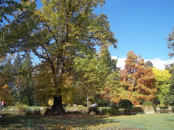 Queenstown Gardens