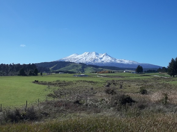 Mt Ruapehu