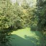 Parc de la Lys