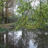 Parc Bois de Boulogne