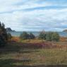 Baie du Ha! Ha!