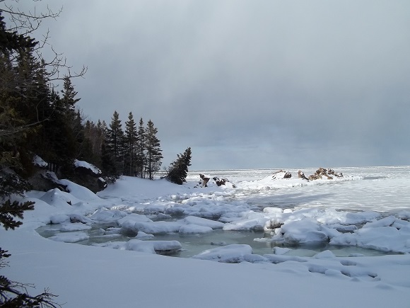 Pointe aux Eiders