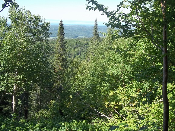 Secteur Mont Comi