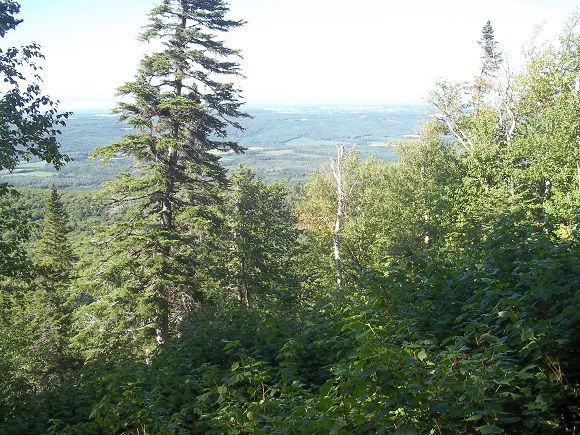 Secteur Mont Comi
