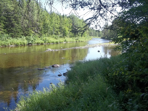 L'Île