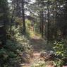 Sentier "Les Sommets"