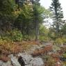 Sentier "Les Sommets"