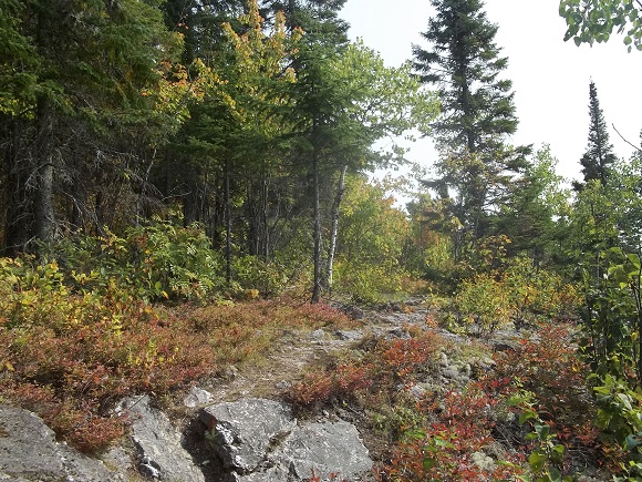 Sentier "Les Sommets"