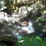 Chute du Ruisseau Auclair