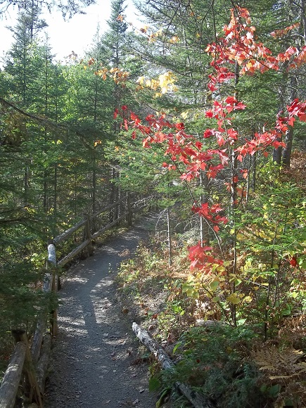 Sentier du Draveur
