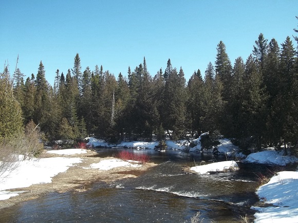 Rivière Rimouski Est depuis le barrage Taché