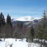 Sentier des Panaches