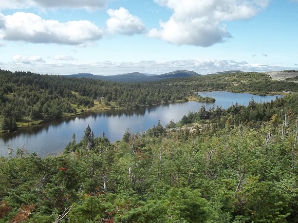 Lac à René