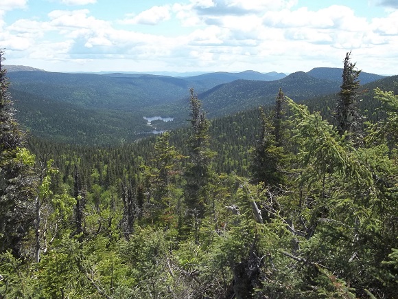 Vue du sommet du Mt du Milieu