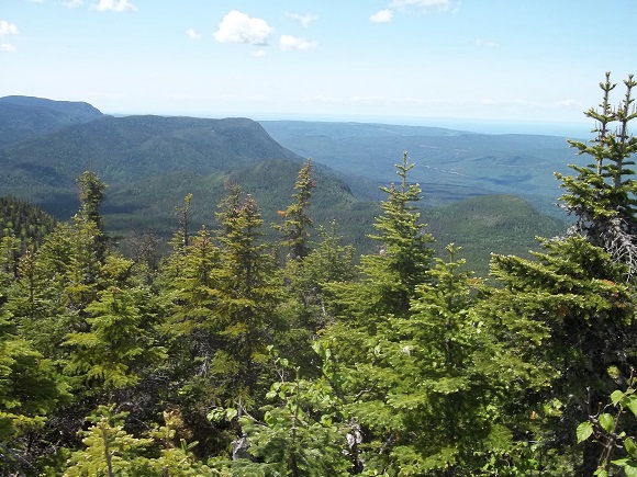 Vue du sommet du Mt du Milieu