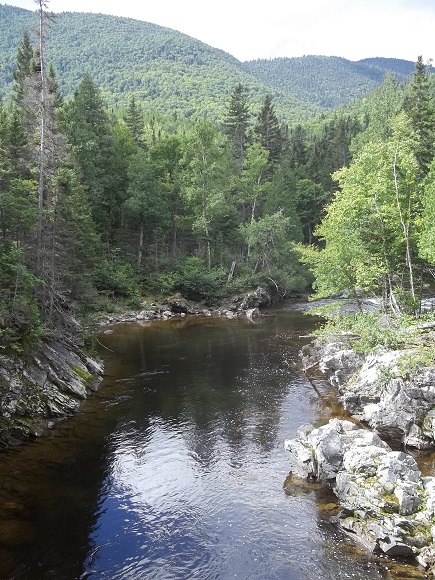 Rivière Cap-Chat