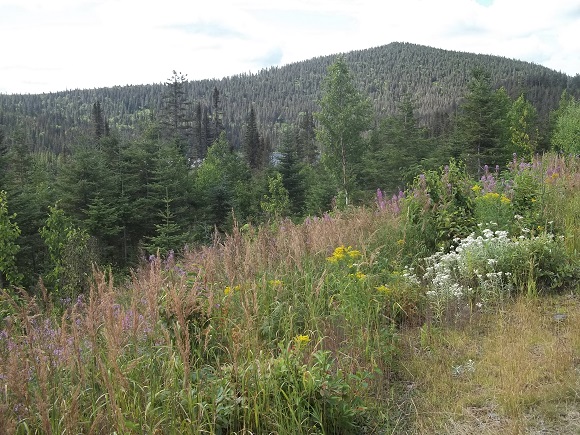 Lac du Gros Ruisseau