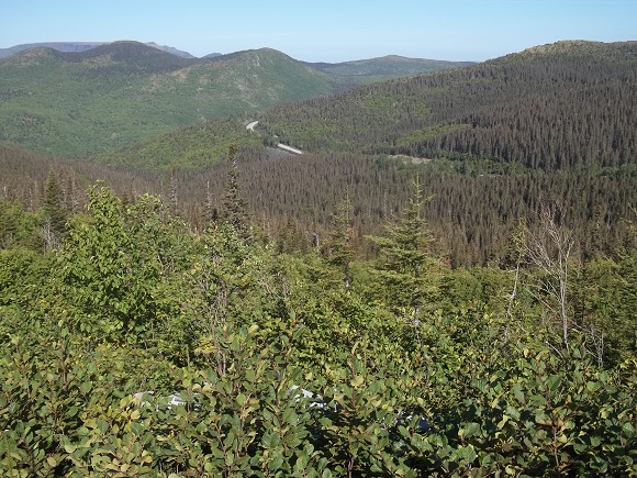 Point de vue du Ruisseau-Castor