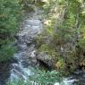 Ruisseau Glenburnie