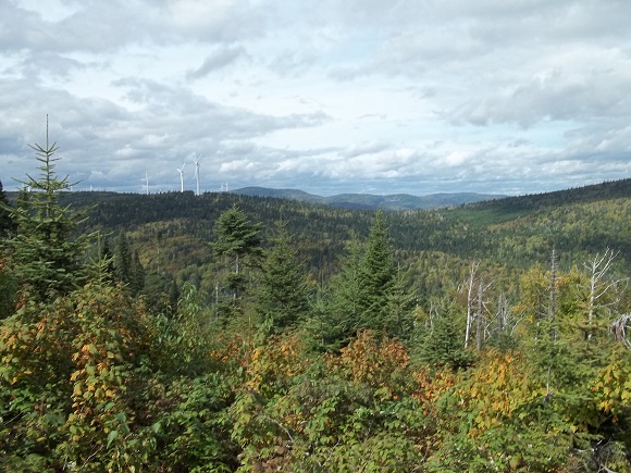 éoliennes vues du sentier du Mt Carleton