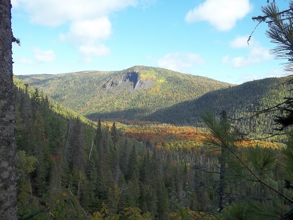 Vue du belvédère de la Roche Pleureuse