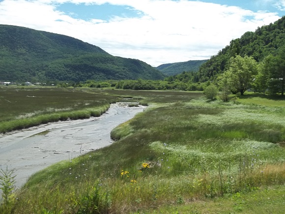 Rivière Mont-Louis