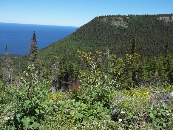 Vue du Chemin du Lac Lemieux