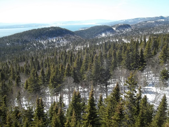 Baie de Gaspé