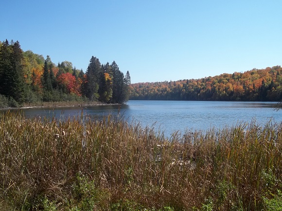 Lac Prichard en automne