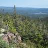 Lac Bathurst vu du Mt Head