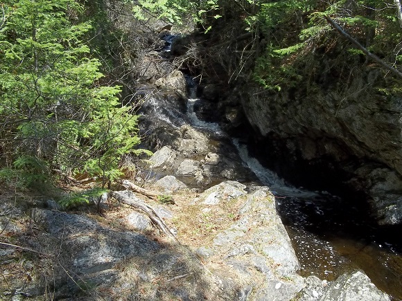 Cascade printanière