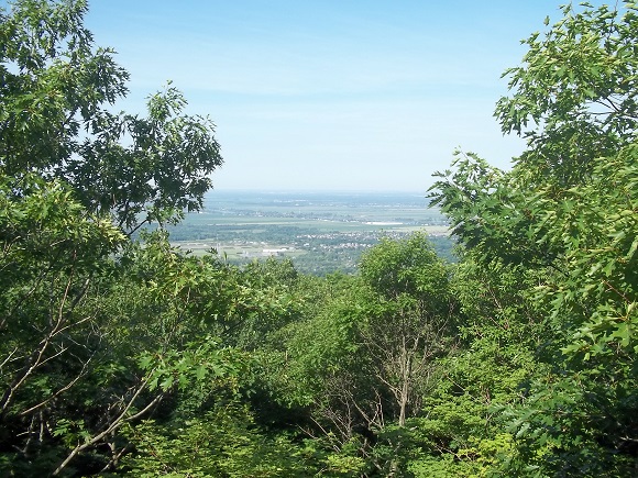 Sommet Burned Hill