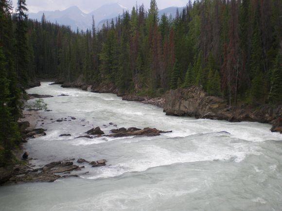 Kicking Horse River