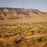 Desert Nevada
