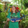 Jungle Island: perroquets
