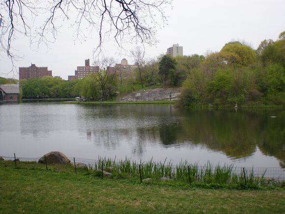 Harlem Meer