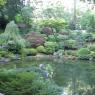 Japanese Garden