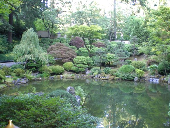 Japanese Garden