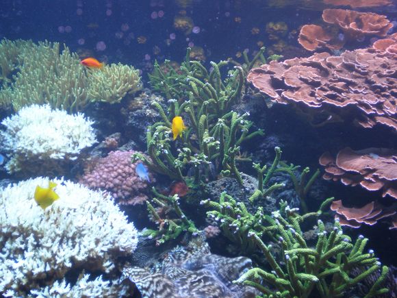 Seattle Aquarium